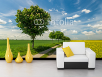 Fototapeta